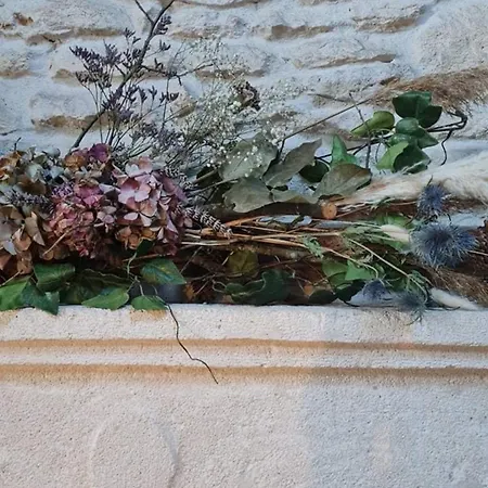 Tatil Evi L'aronde Taillant