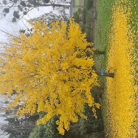 L'aronde Tatil Evi Taillant