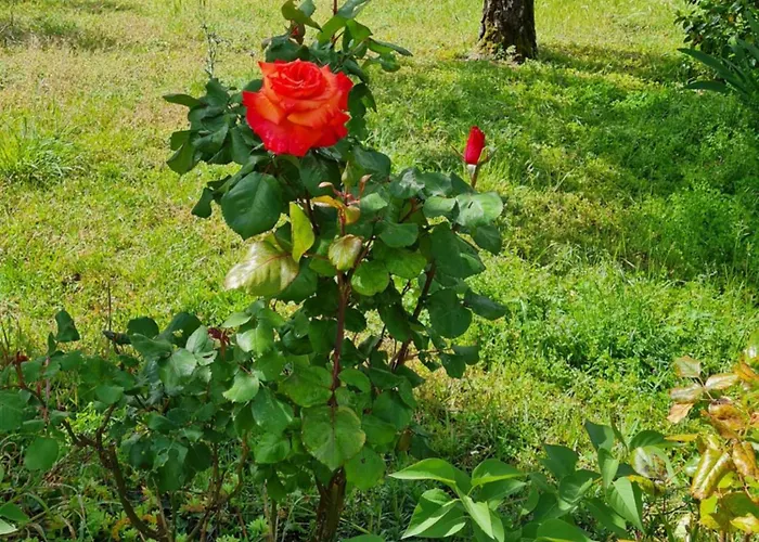 L'aronde Casa de Férias Taillant