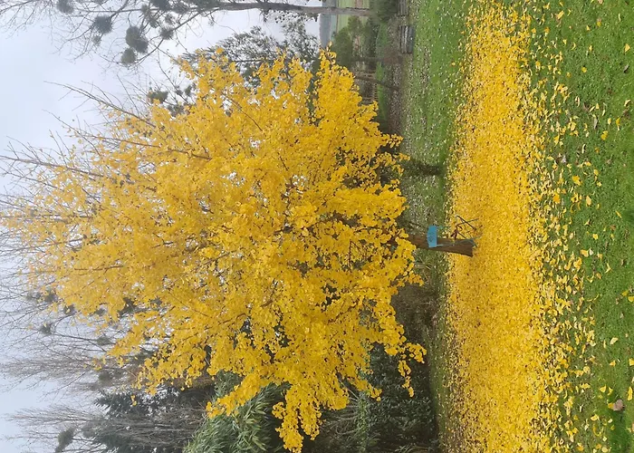 L'aronde Casa de Férias Taillant